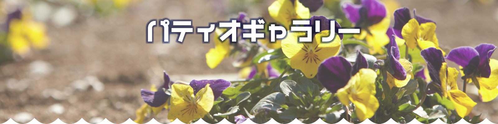 【春のパティオ、チューリップ編２０２２】vol.１３