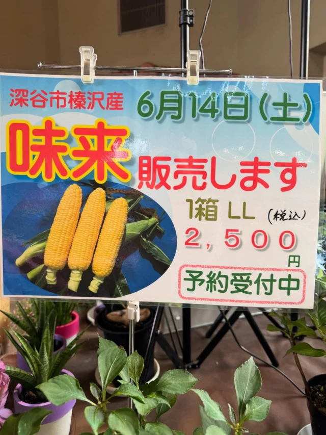 6月14(土)9時〜とうもろこし祭り
現在予約受付中です

#フラワーアレンジメント #寄せ植え#寄せ植えアレンジ #フラワーショップ #歓送迎会  #アクアパラダイスパティオ #アクアパラダイス深谷 #ガーデン#寄せ植え  #寄せ植えアレンジ  #温水プール#フィットネス #ラウンドフィットネス #リラックスヨガレッスン #エクササイズフラ #初心者水泳教室#産地直送野菜 #トウモロコシ🌽 #トウモロコシ #トウモロコシ予約出来ます